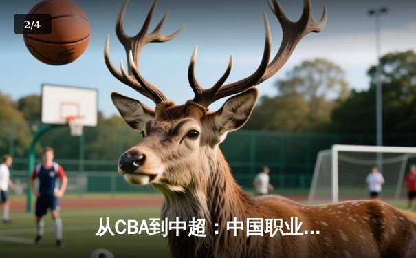 从CBA到中超：中国职业体育的商业化迷思与竞技本质回归 - 2